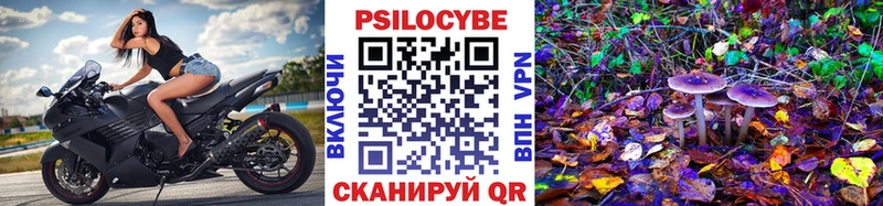 OMG вход Чекалин Галлюциногенные грибы Psilocybine cubensis